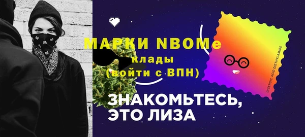 apvp Богородск