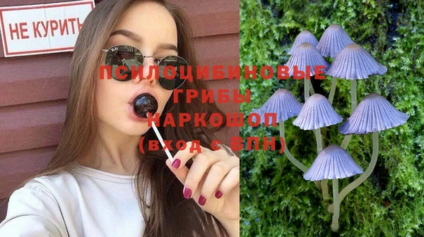 гашишное масло Богородицк