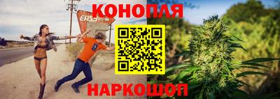 гашик Гай