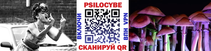 Галлюциногенные грибы Psilocybine cubensis Наро-Фоминск