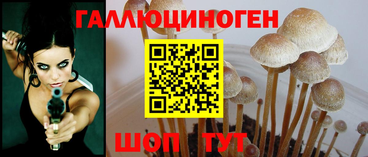 Псилоцибиновые грибы Psilocybine cubensis Наро-Фоминск